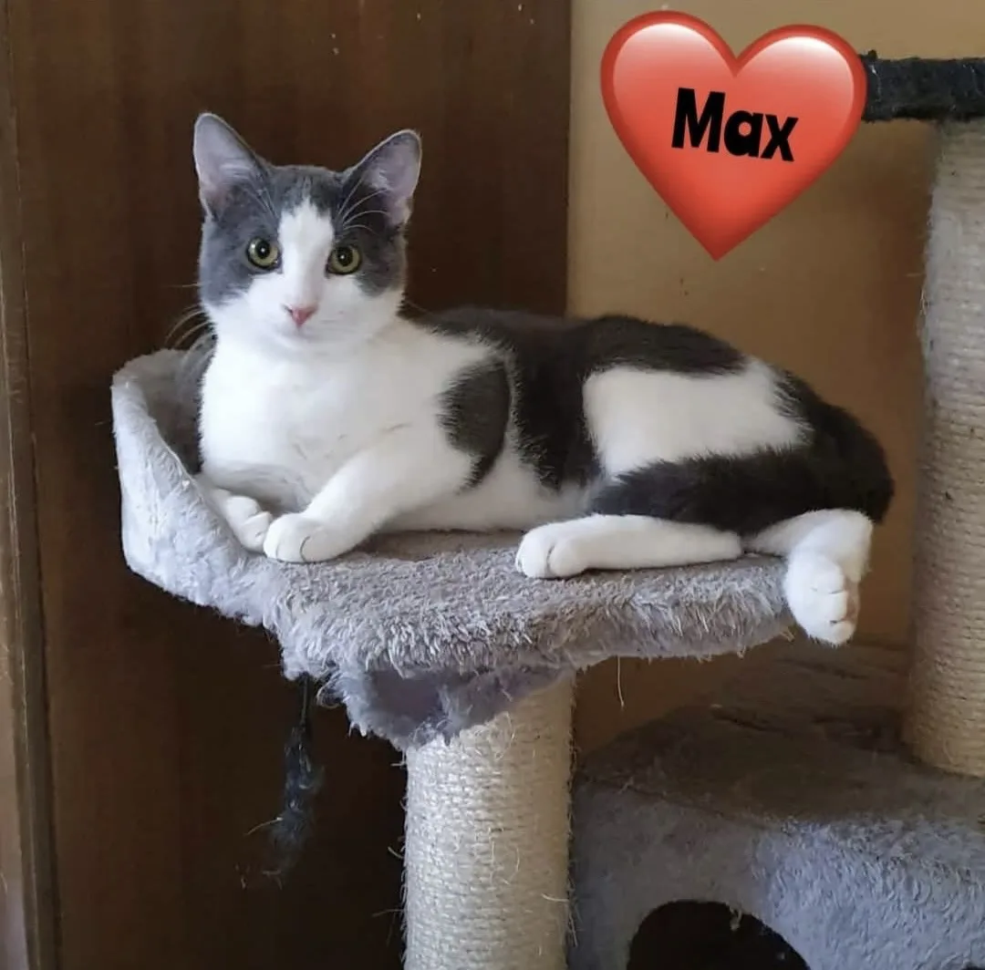 Max bei Rositsa's Fellnasen