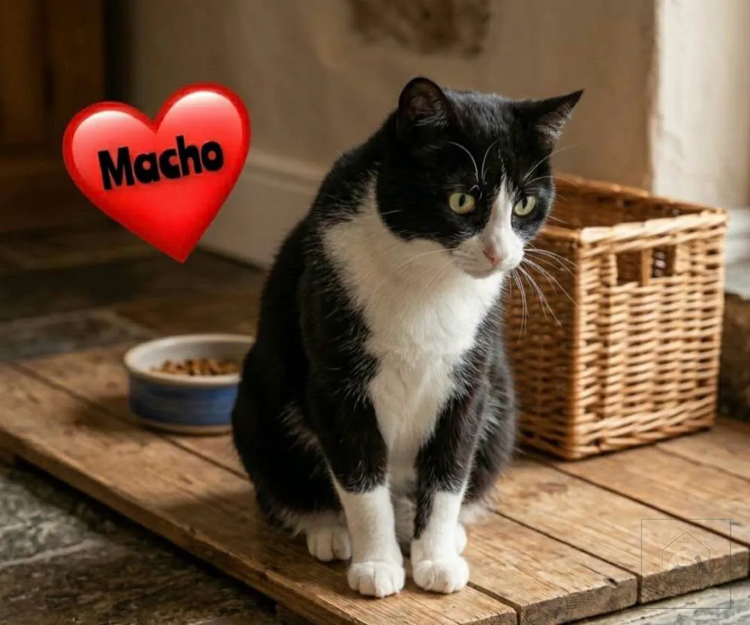Macho bei Rositsa's Fellnasen