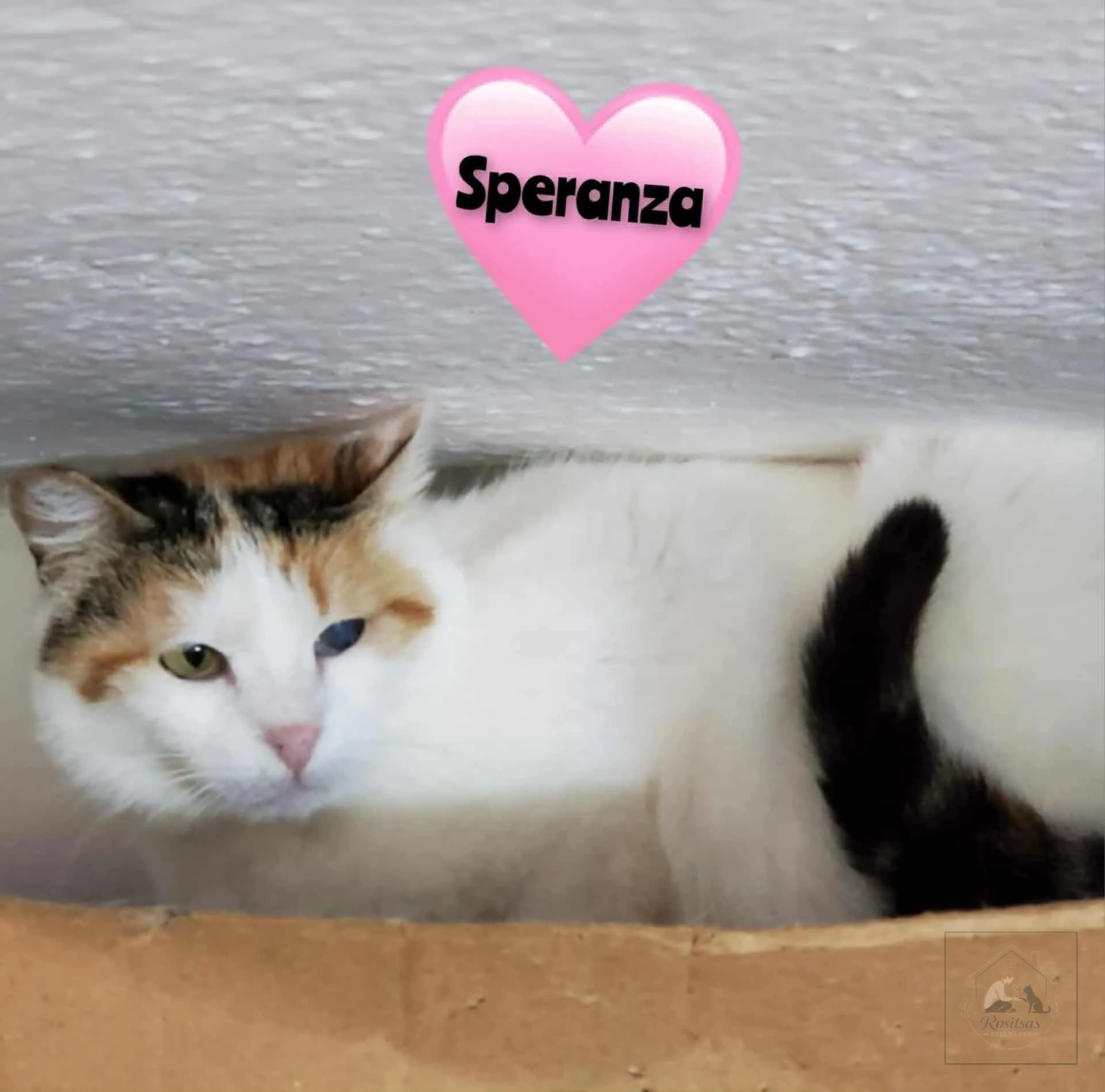 Porträt von Speranza