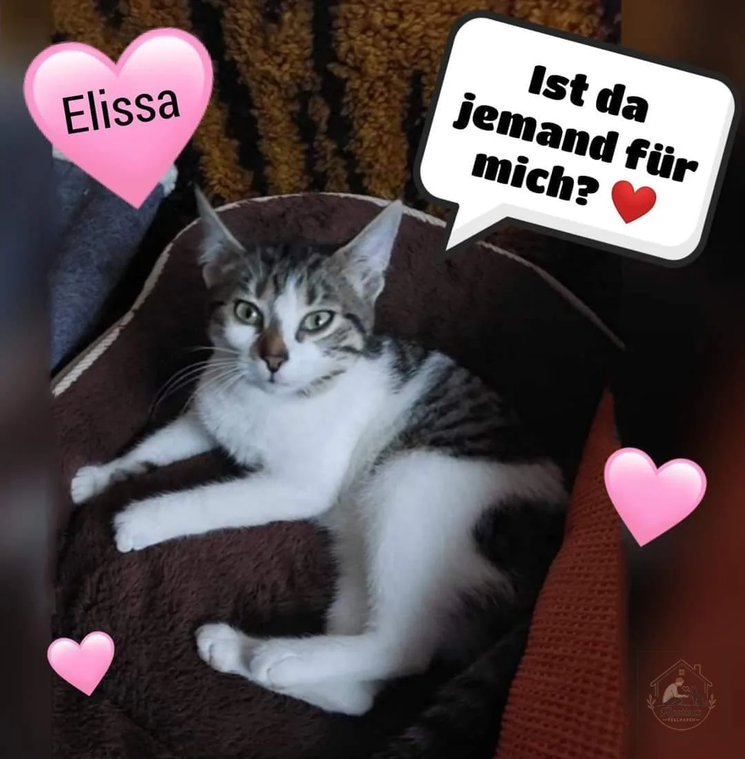 Porträt von Elissa