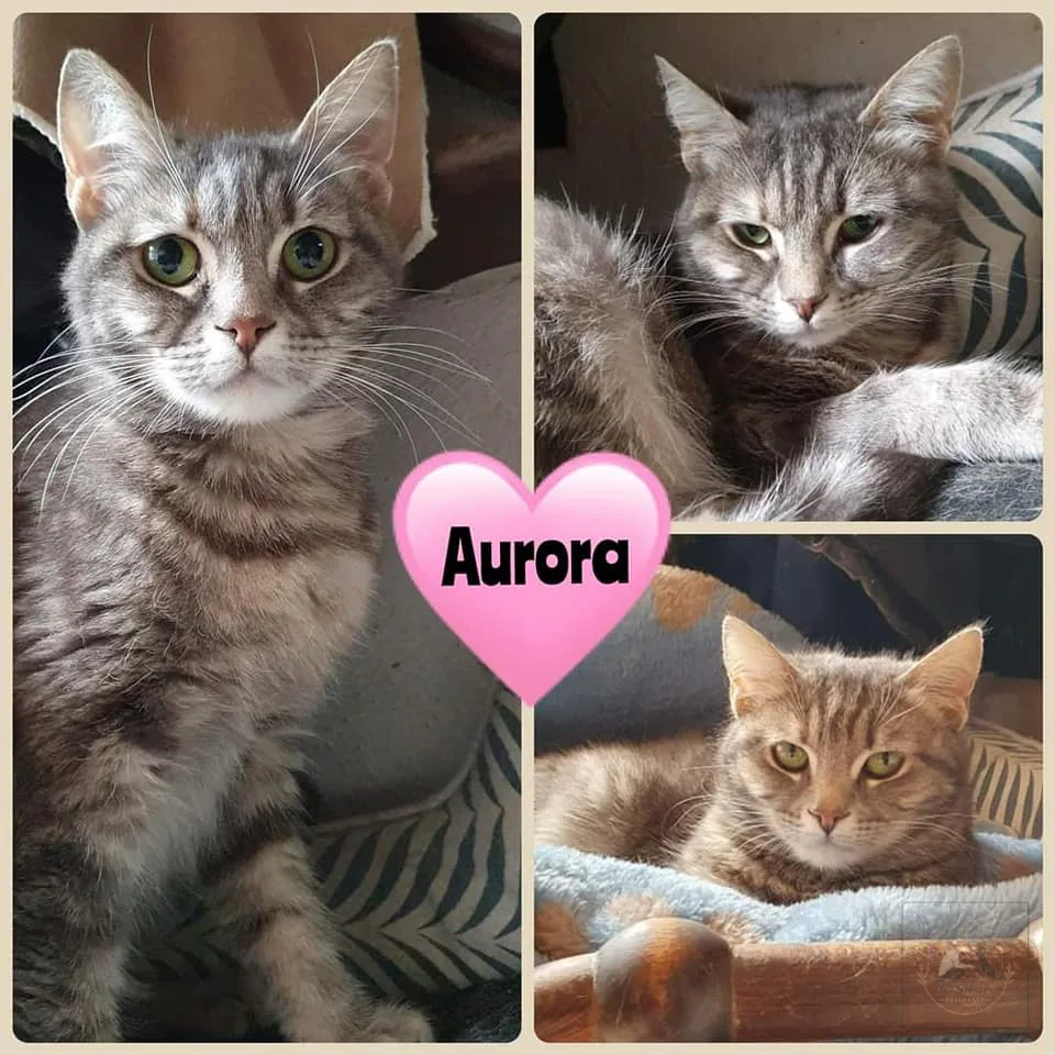 Porträt von Aurora