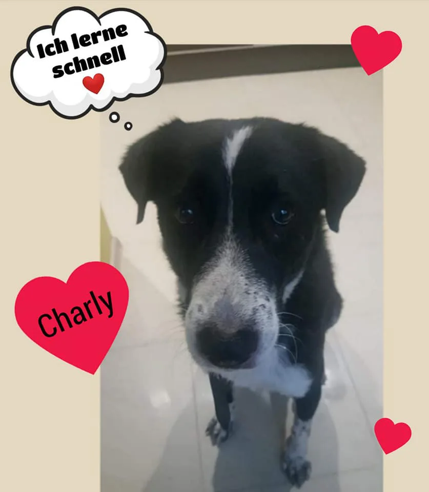 Porträt von Charly