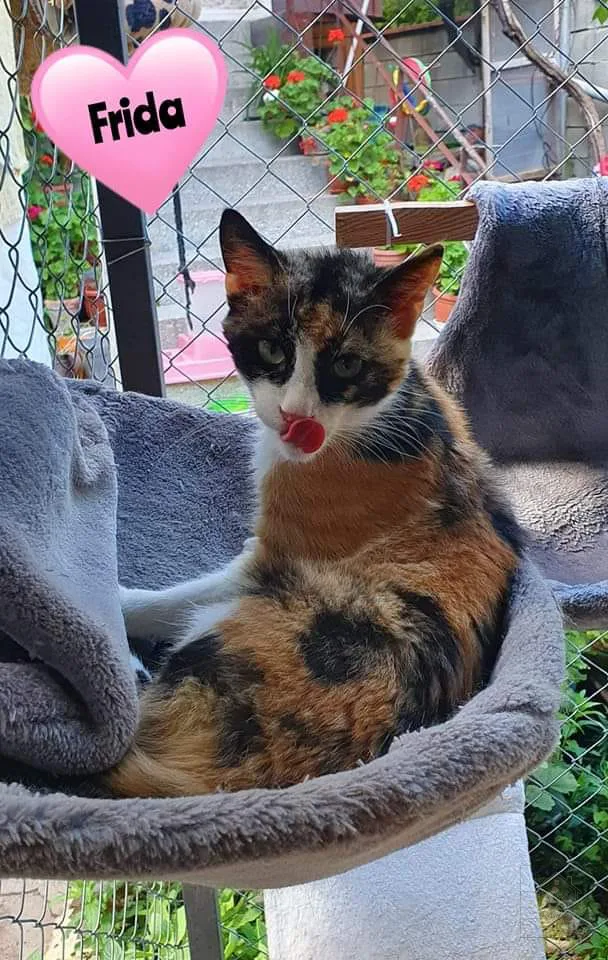 Porträt von Frida