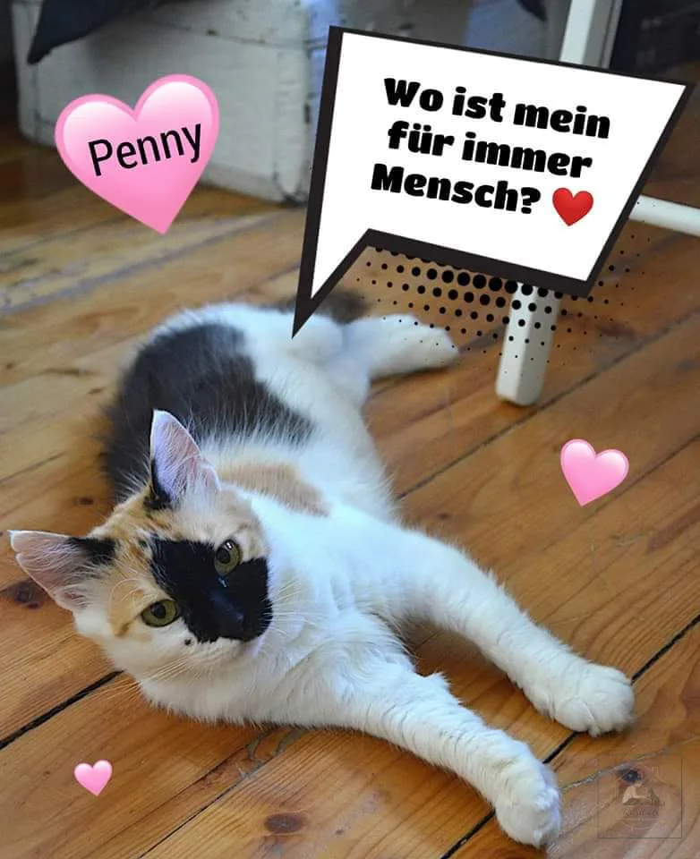 Porträt von Penny
